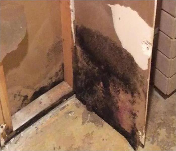 mold damage in a home